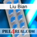 Liu Bian 22